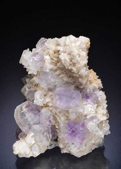 CC44928 specimen image