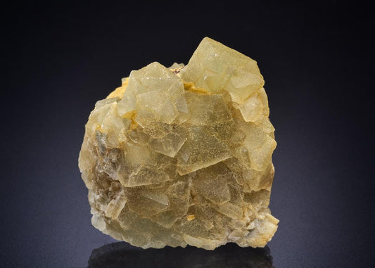 CC45004 specimen image
