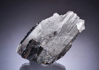 FERBERITE with SCHEELITE, ARSENOPYRITE, FLUORITE and MUSCOVITE