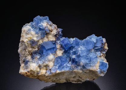 CC45086 specimen image