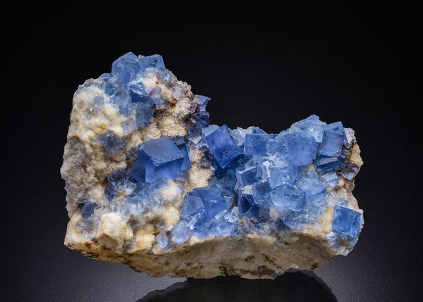 CC45086 specimen image