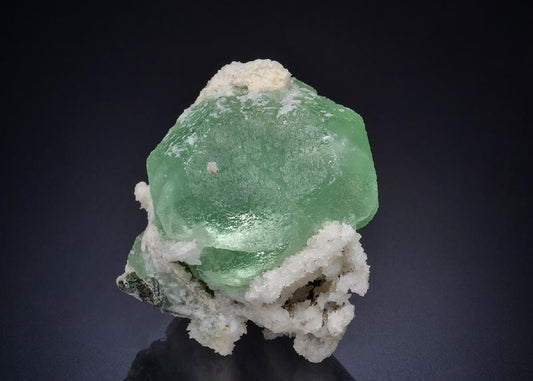 CC45106 specimen image