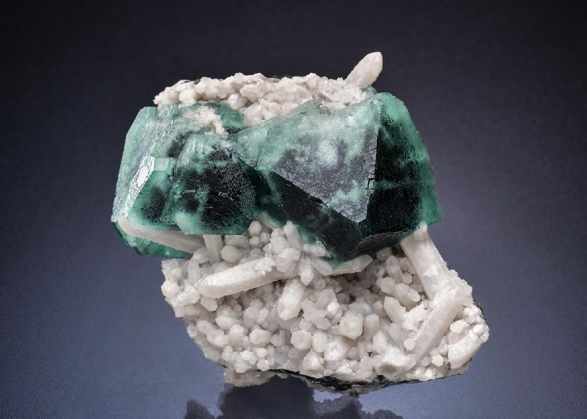 CC45118 specimen image