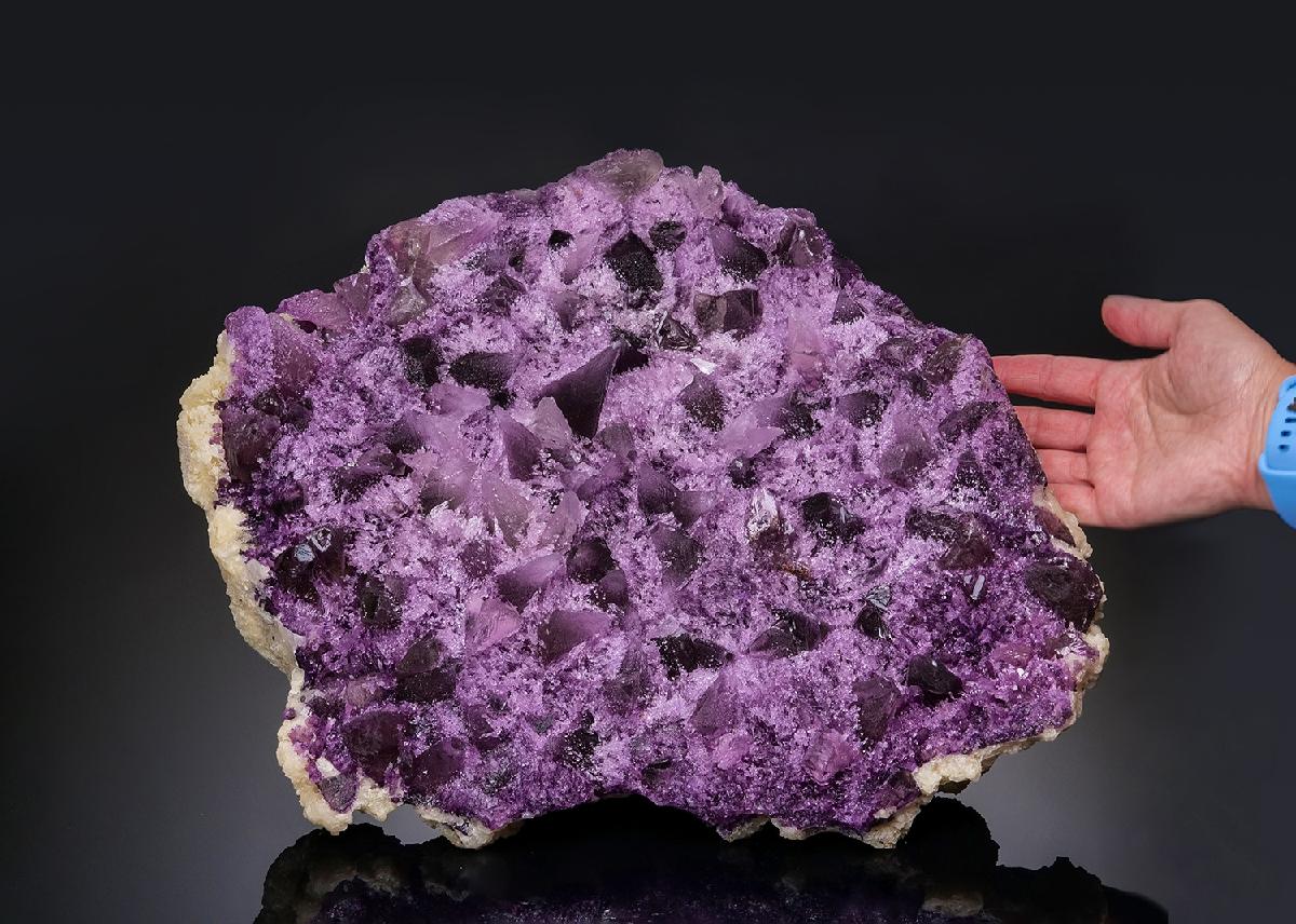 CC45120 specimen image