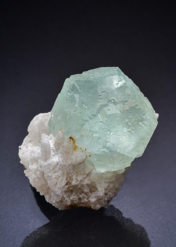 CC45132 specimen image