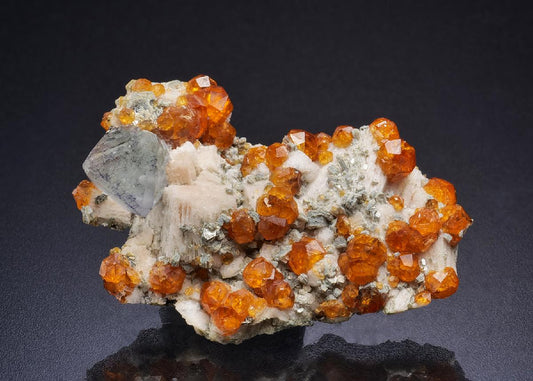 CC45134 specimen image