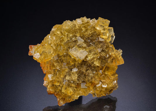 CC45136 specimen image