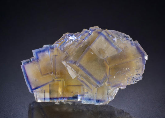 CC45160 specimen image