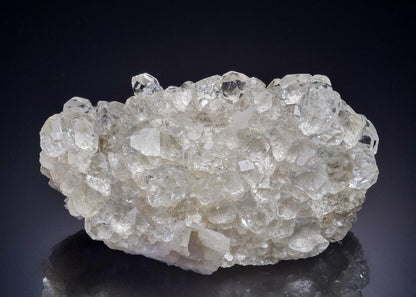 CC45174 specimen image