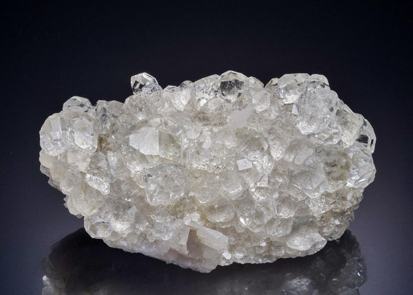 CC45174 specimen image