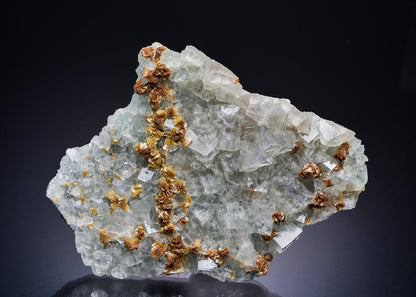 CC45176 specimen image
