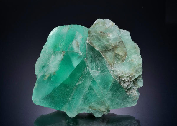 CC45192 specimen image
