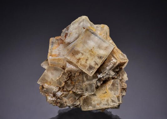 CC45204 specimen image