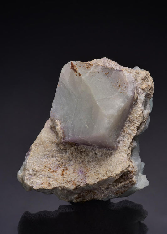 CC45206 specimen image
