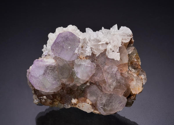 CC45210 specimen image