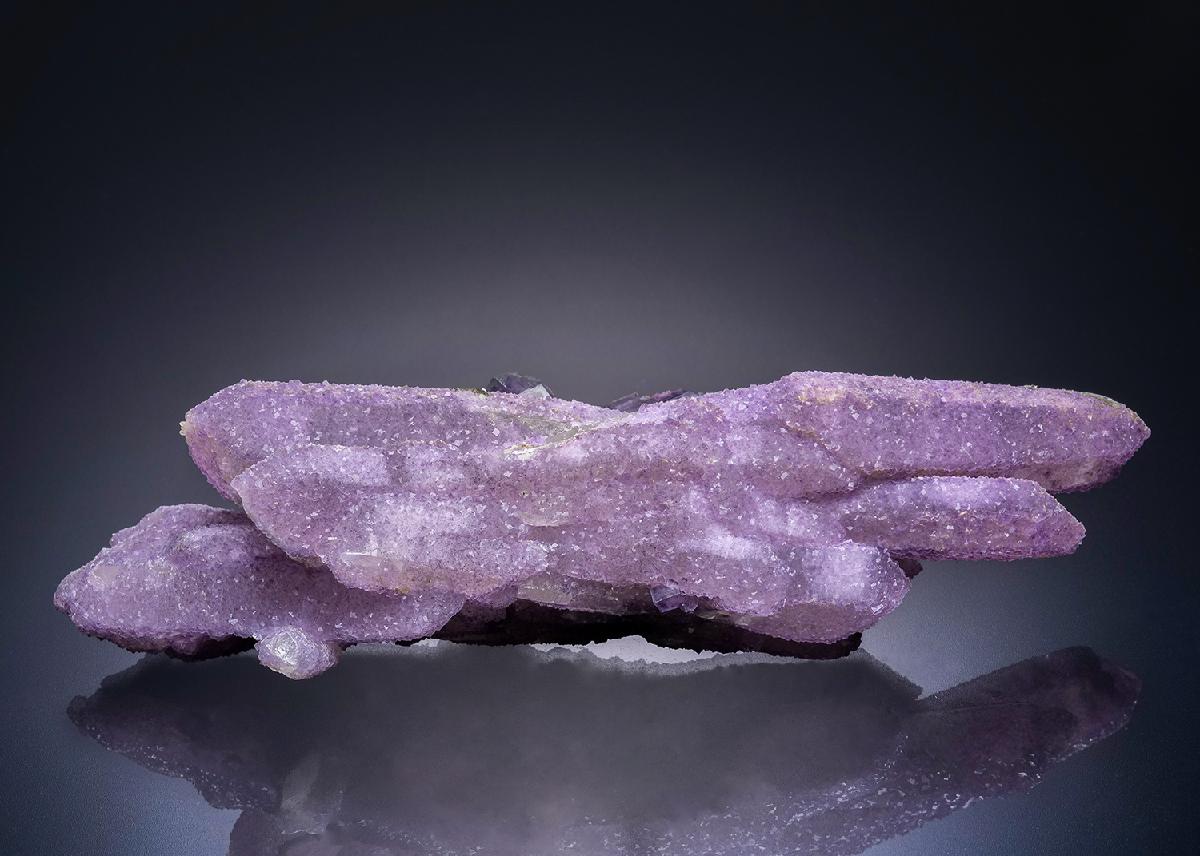 CC45226 specimen image