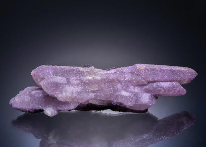 CC45226 specimen image