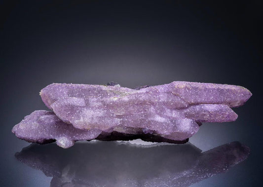 CC45226 specimen image