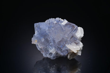 CC45230 specimen image