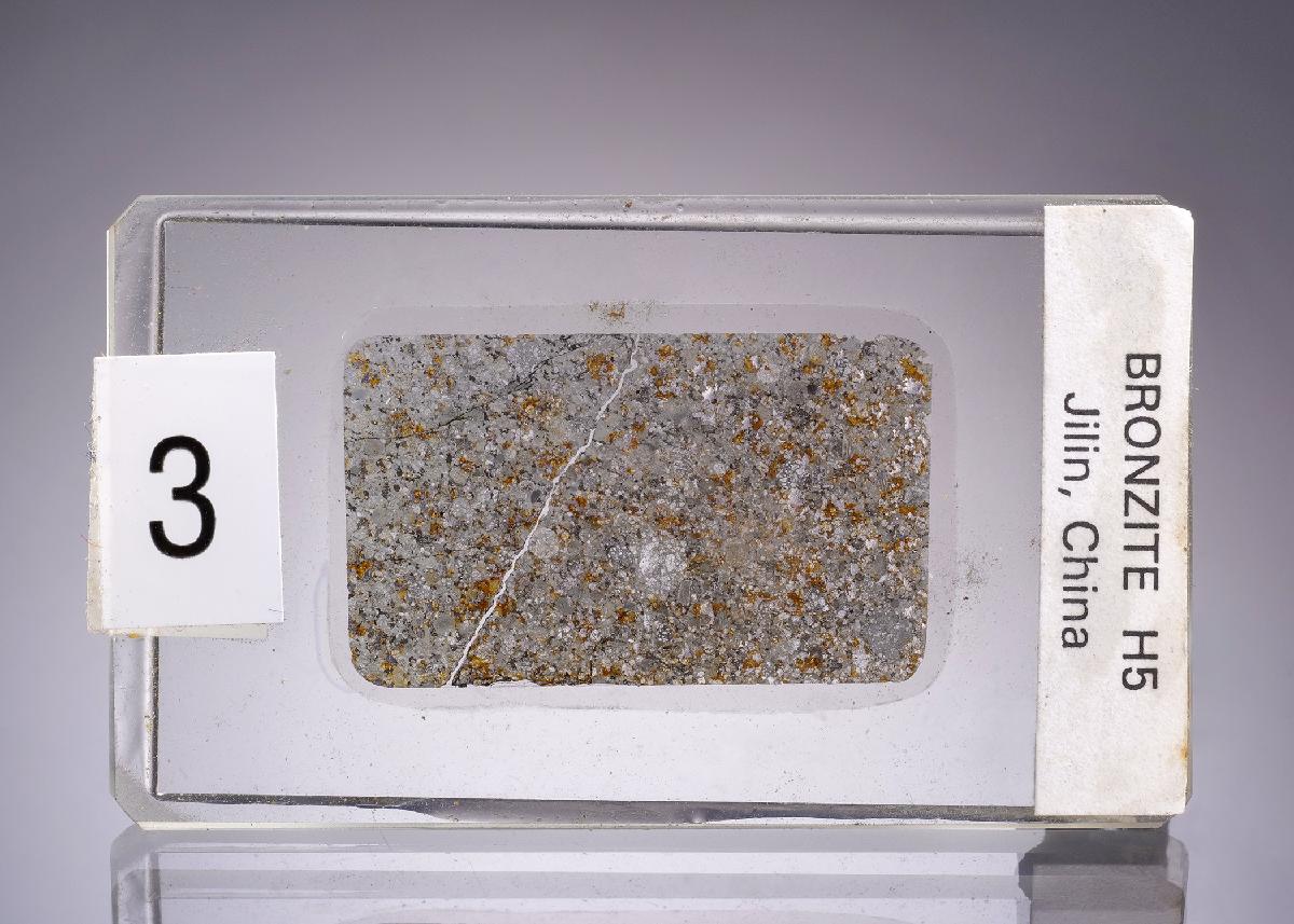 CC45236 specimen image