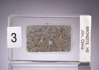 CC45236 specimen image