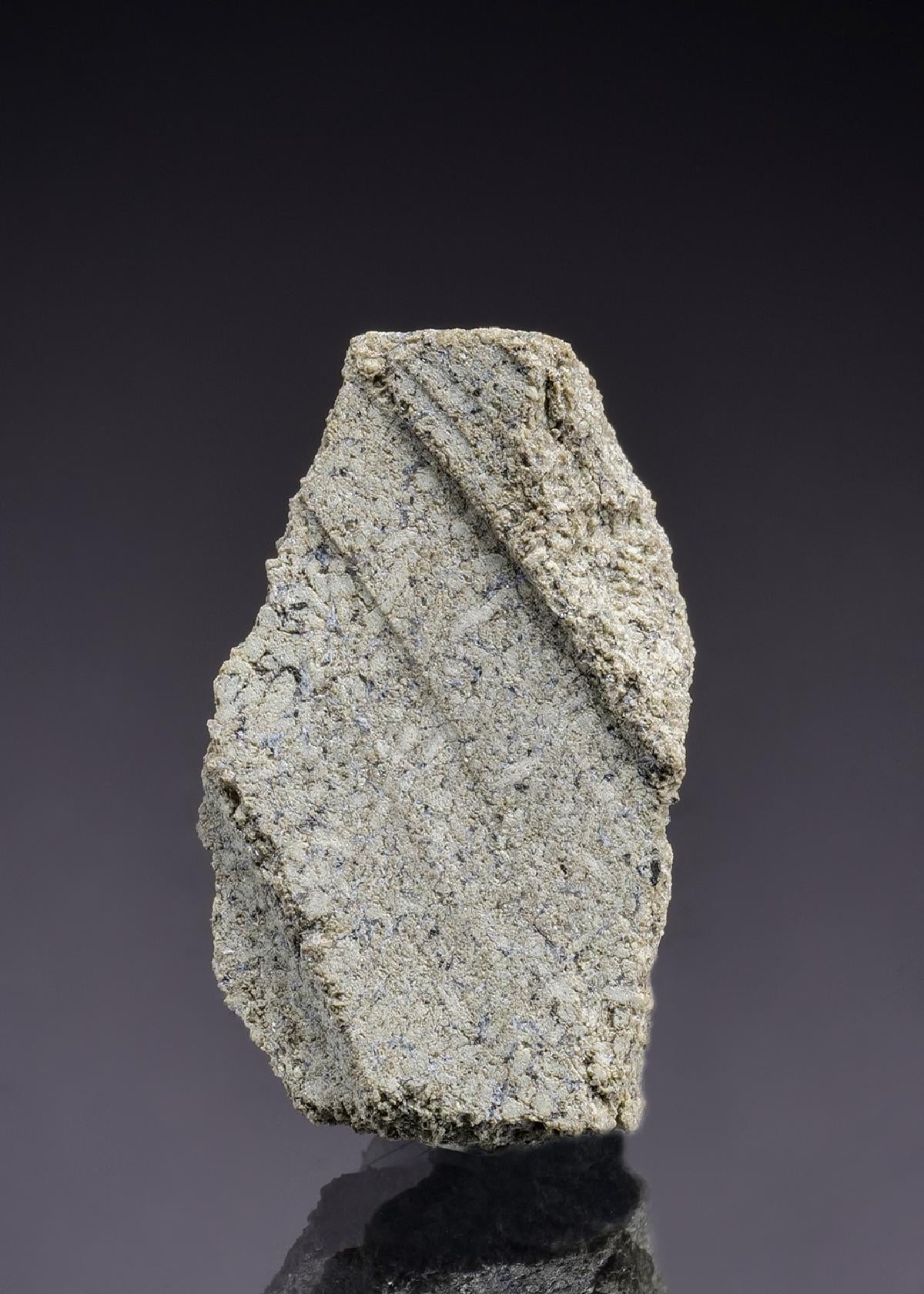 CC45262 specimen image
