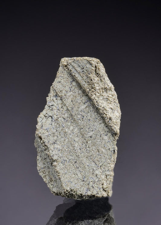 CC45262 specimen image