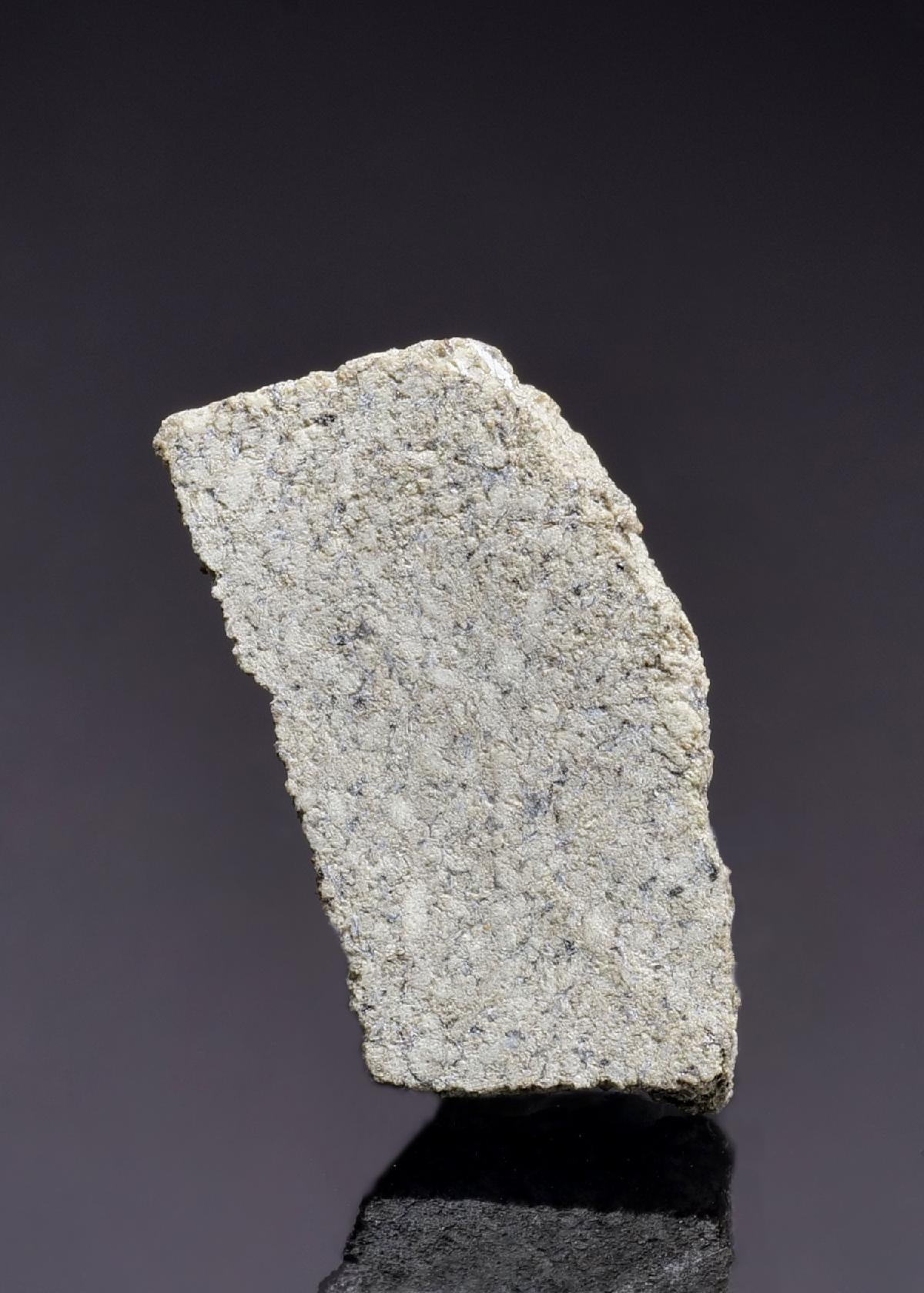 CC45268 specimen image