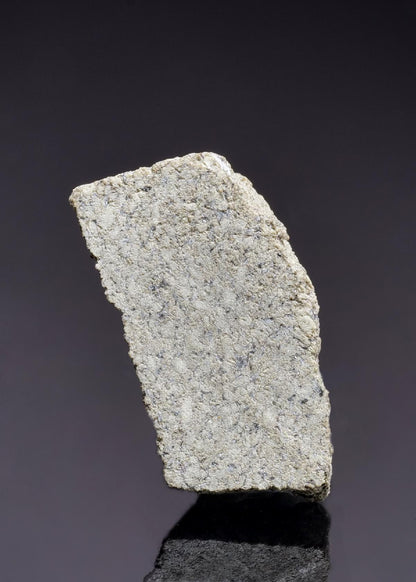 CC45268 specimen image