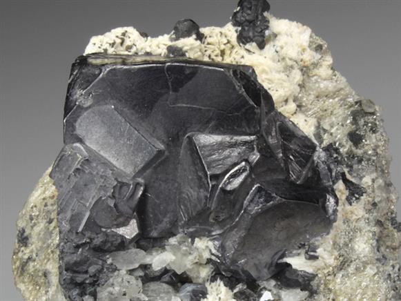 CC4527 specimen image