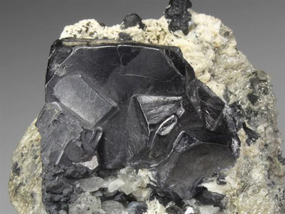 CC4527 specimen image