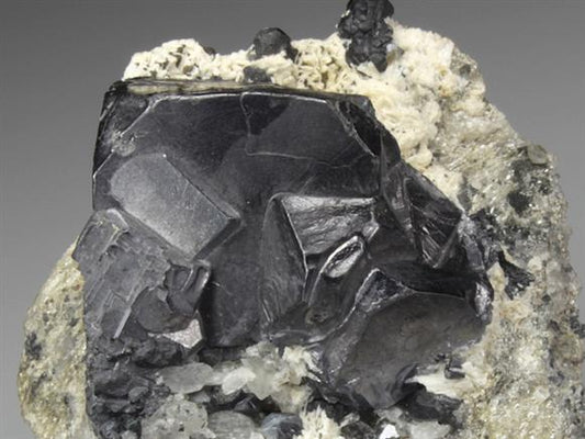 CC4527 specimen image