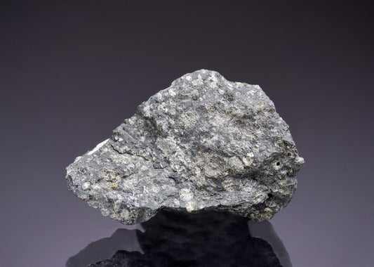 CC45272 specimen image
