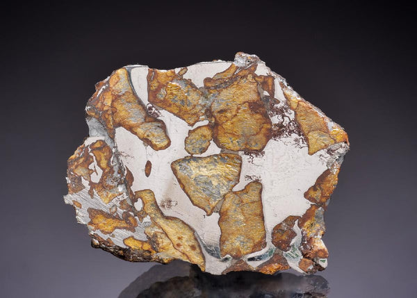 CC45274 specimen image