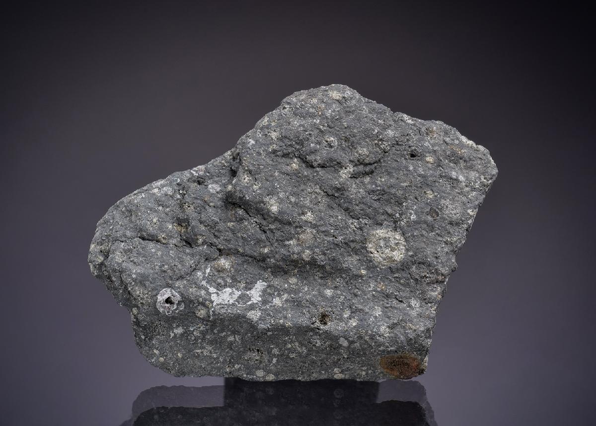 CC45278 specimen image