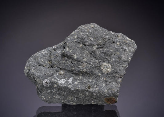 CC45278 specimen image