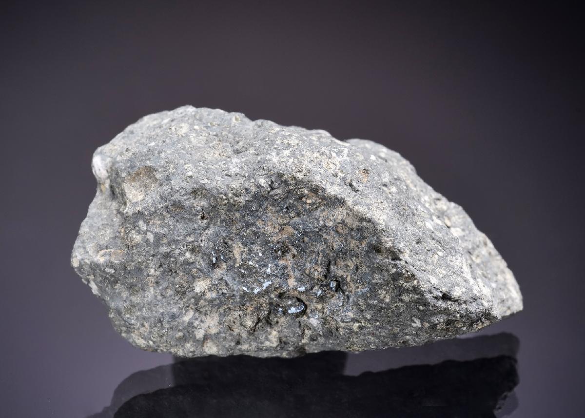 CC45284 specimen image