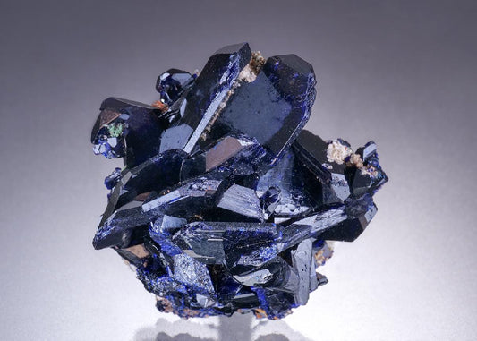 CC45318 specimen image