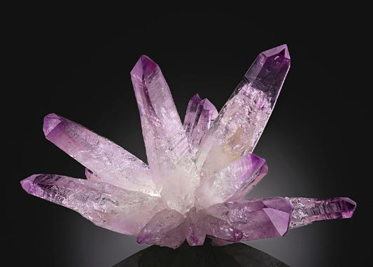 CC45452 specimen image