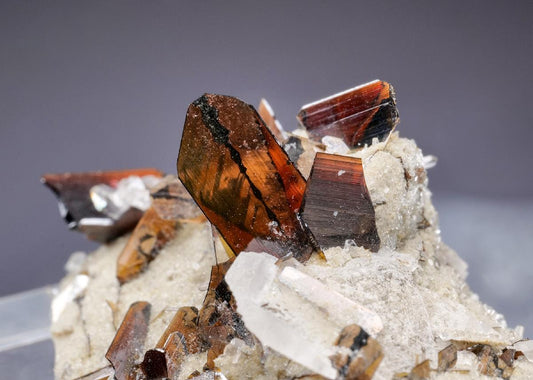 CC45454 specimen image
