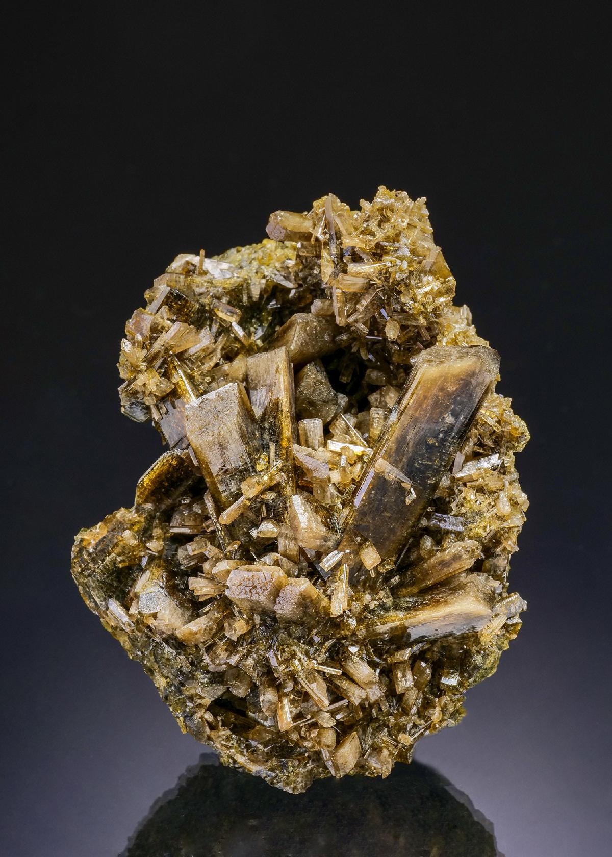 CC45466 specimen image
