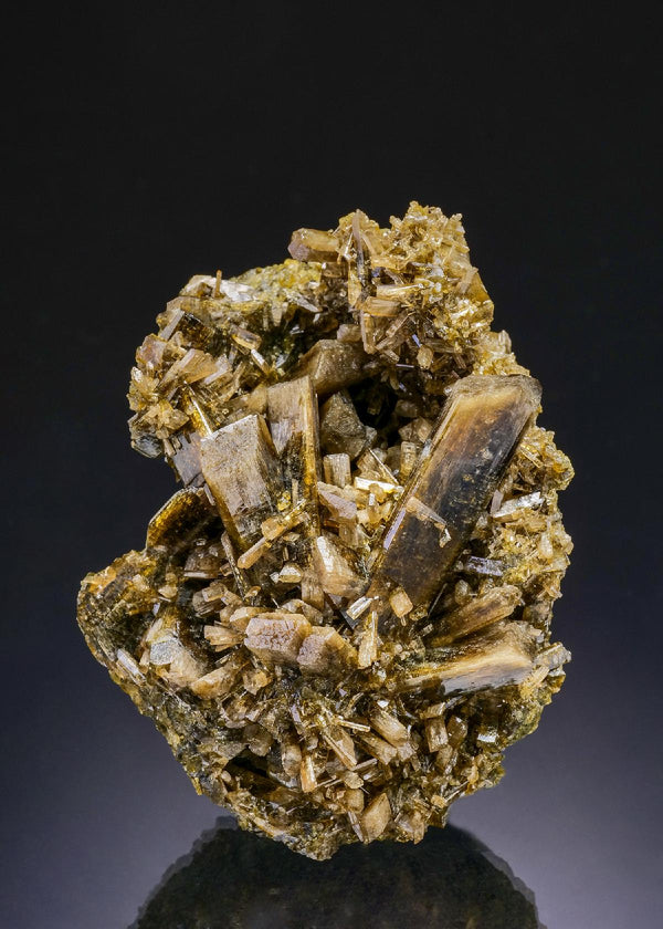 CC45466 specimen image