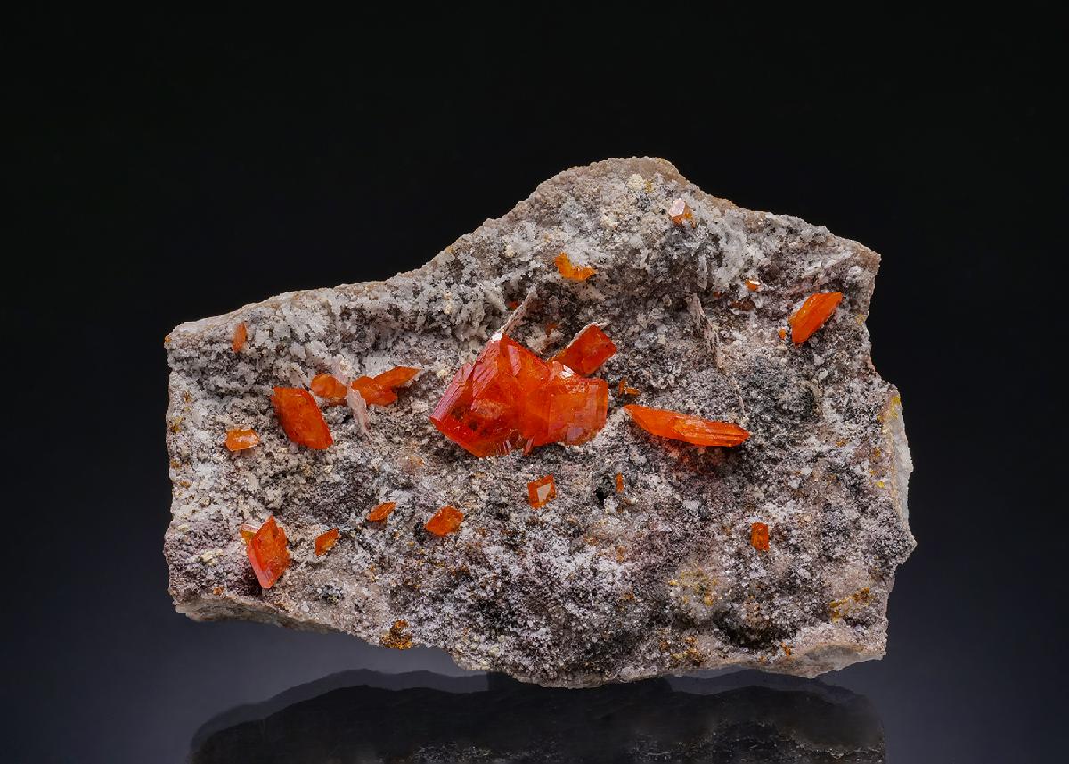 CC45470 specimen image