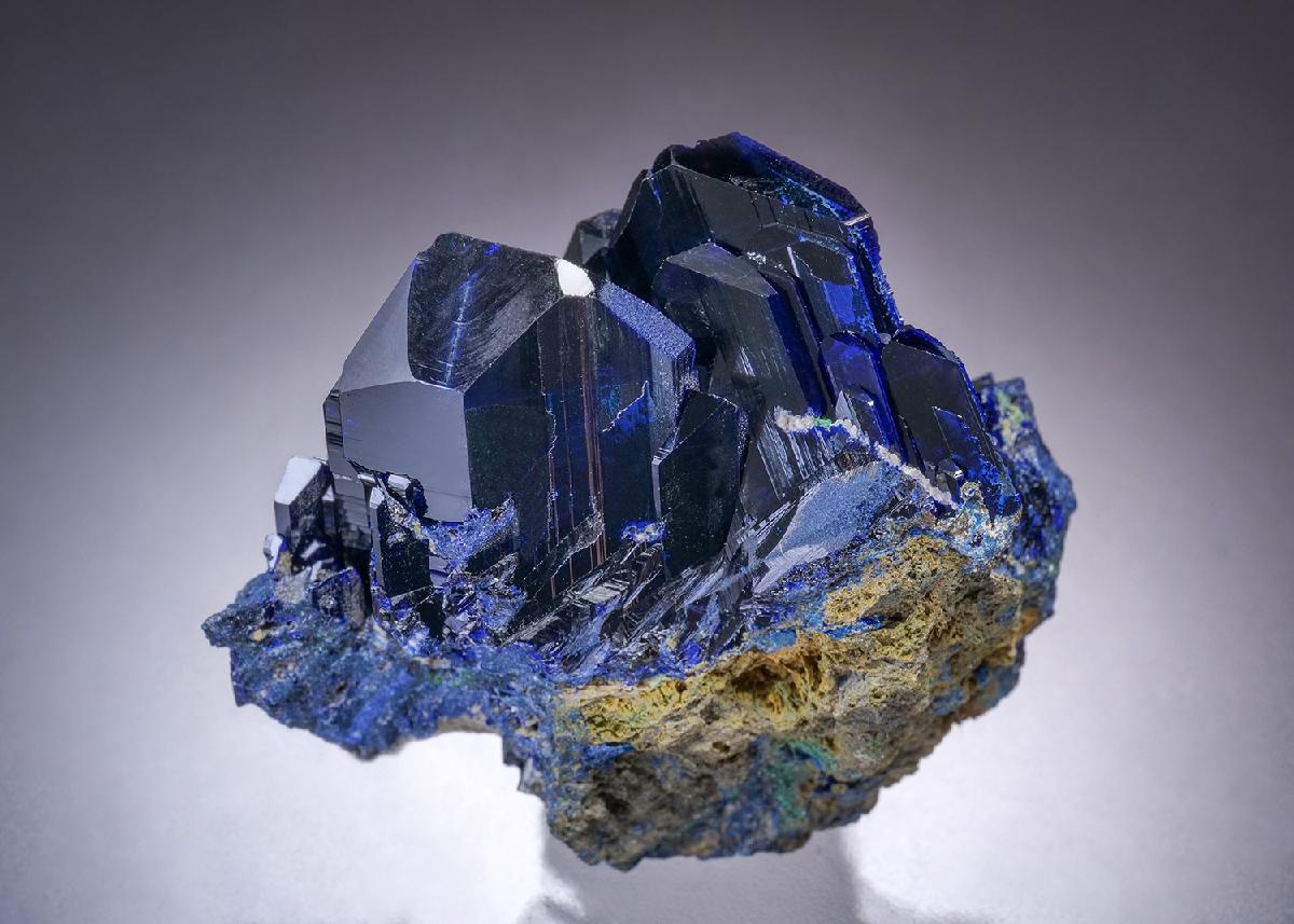 CC45492 specimen image