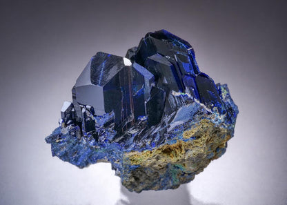 CC45492 specimen image