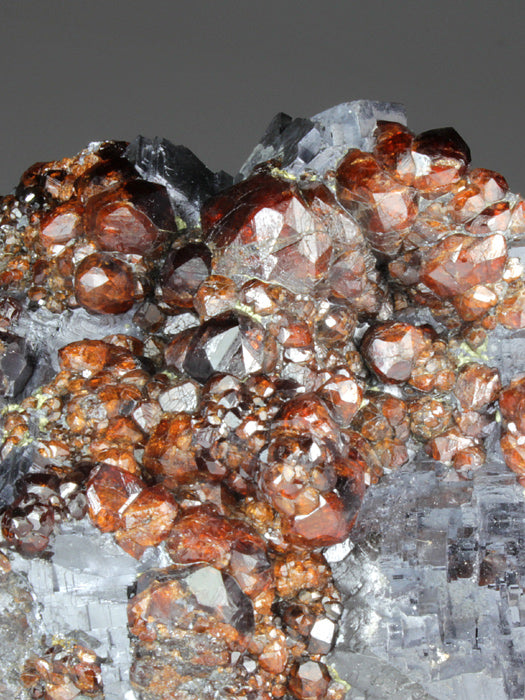 CC4550 specimen image