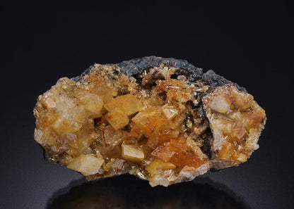 CC45508 specimen image