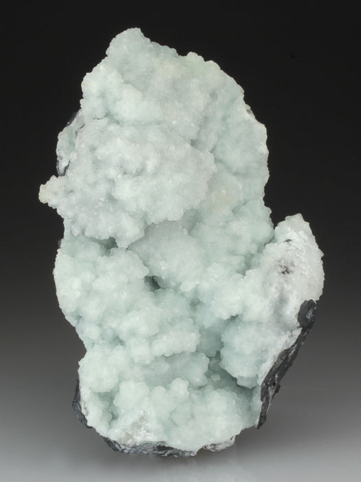 CC4553 specimen image