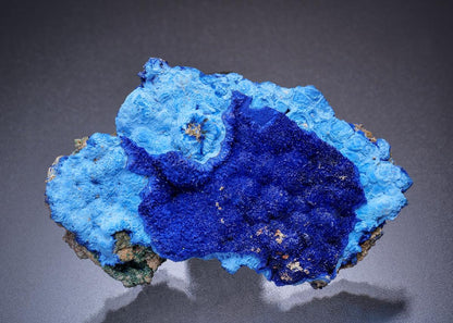 CC45534 specimen image