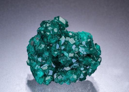 CC45614 specimen image